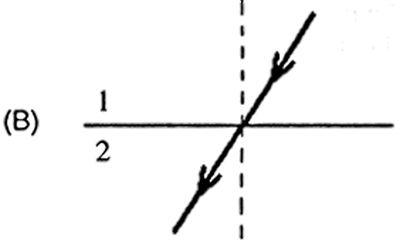 Alternativa B