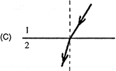 Alternativa C