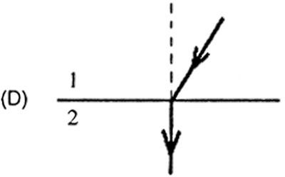 Alternativa D