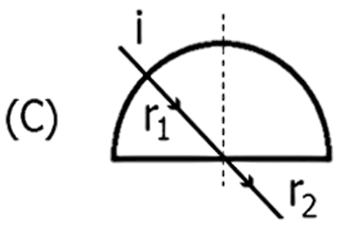 Alternativa C
