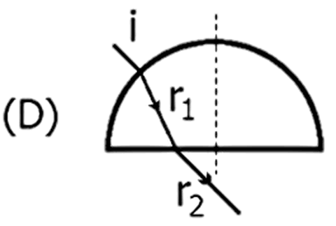 Alternativa D