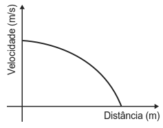 Alternativa C