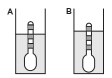 Alternativa B