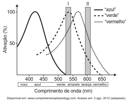 Gráfico de ativação dos pigmentos visuais em função do comprimento de onda.