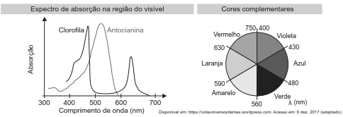 Espectro de absorção de clorofila e antocianina e círculo de cores complementares.