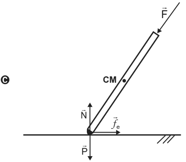 Alternativa C