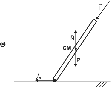 Alternativa D